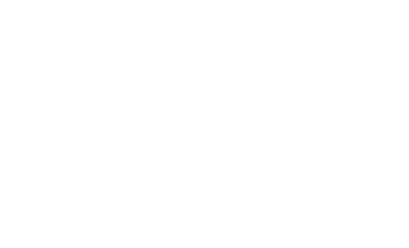 Metro Elektrik